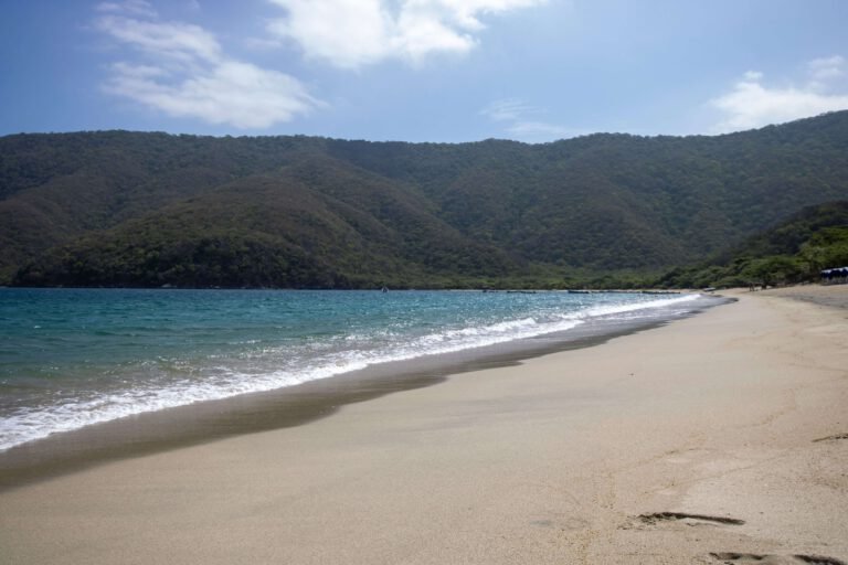 Parc Tayrona : tout savoir pour organiser sa visite